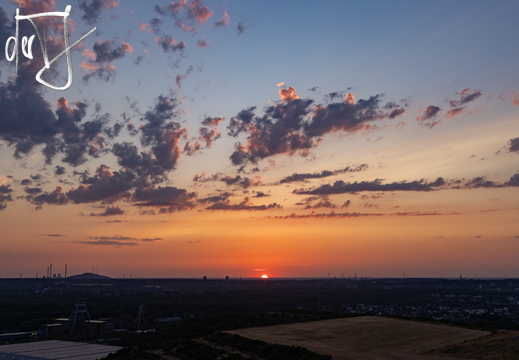 20260713-IMG 3036